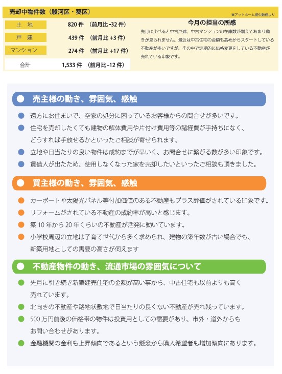 トレンドレポート11月号（2024年10月検証）